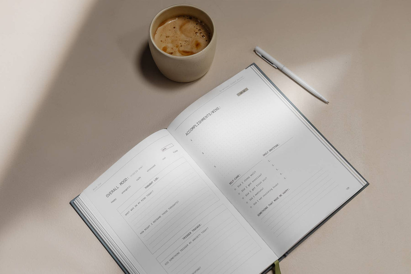 No Worries: A Guided Journal to Help You Calm Anxiety