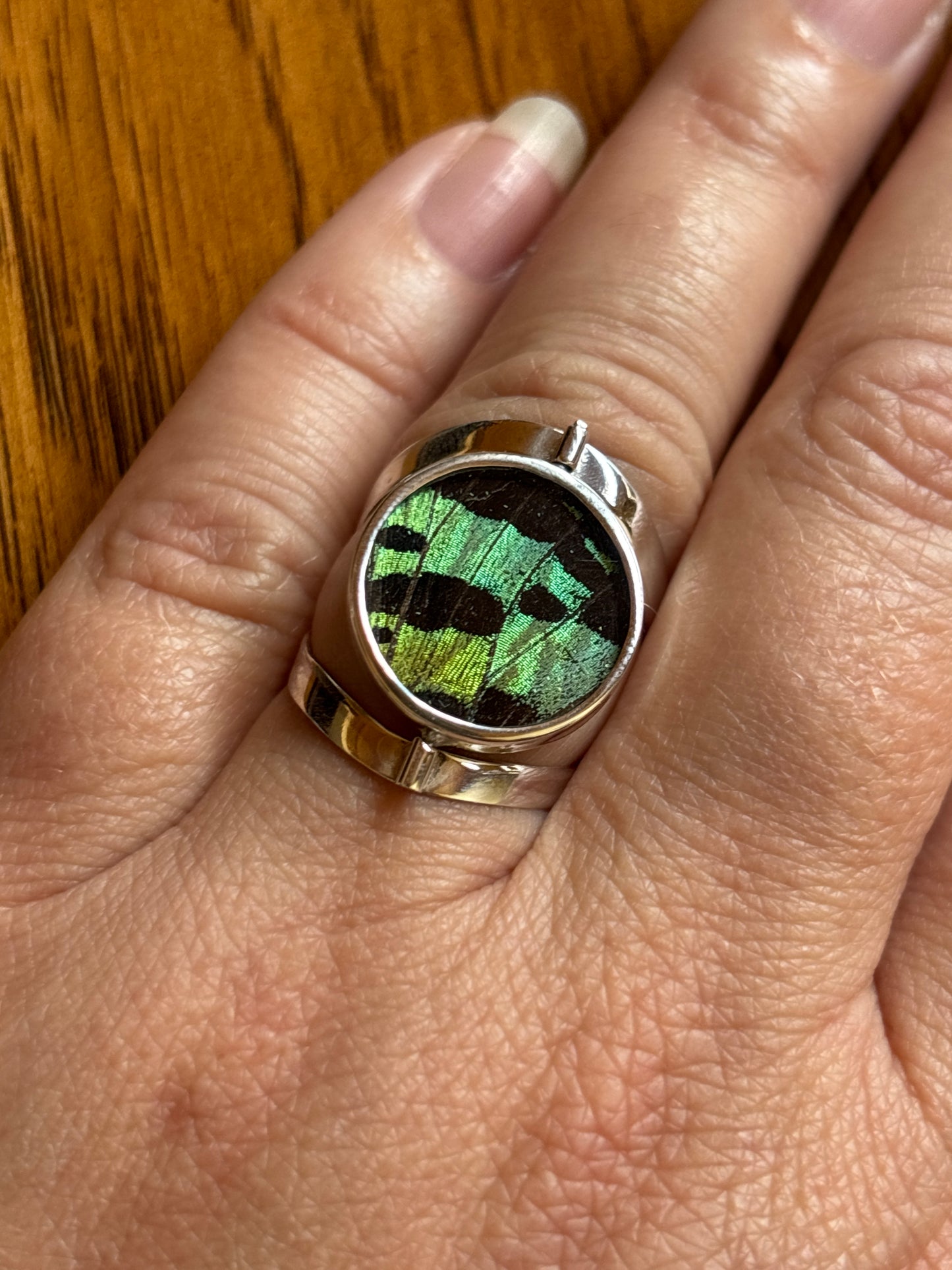 Butterfly Wing Rings | Adjustable
