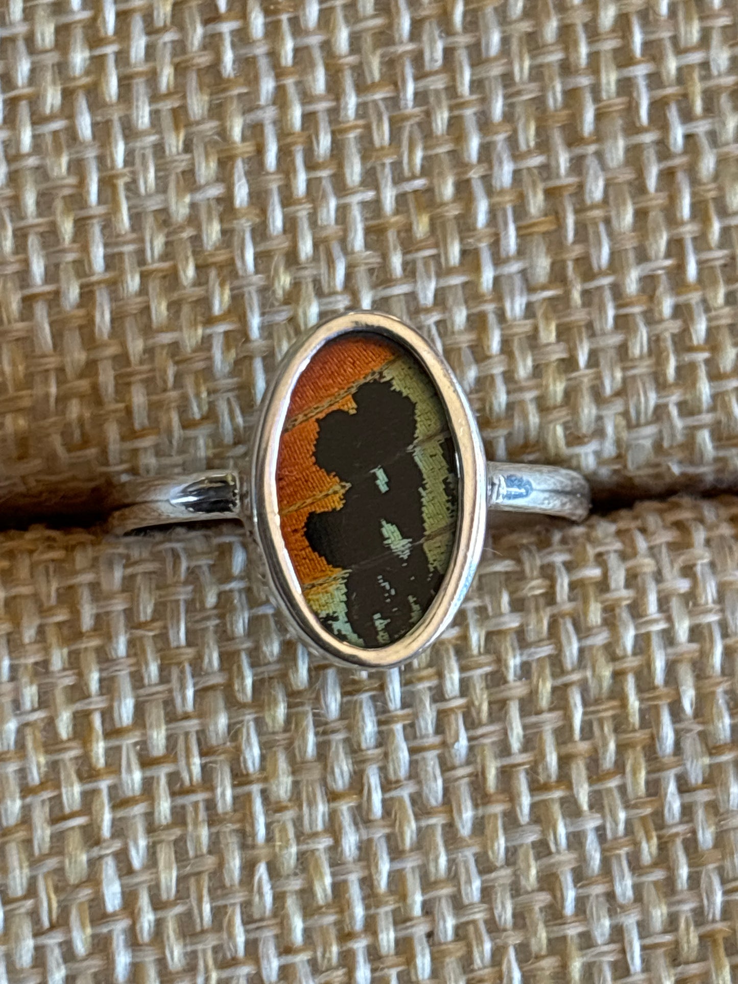 Butterfly Wing Rings (Small)