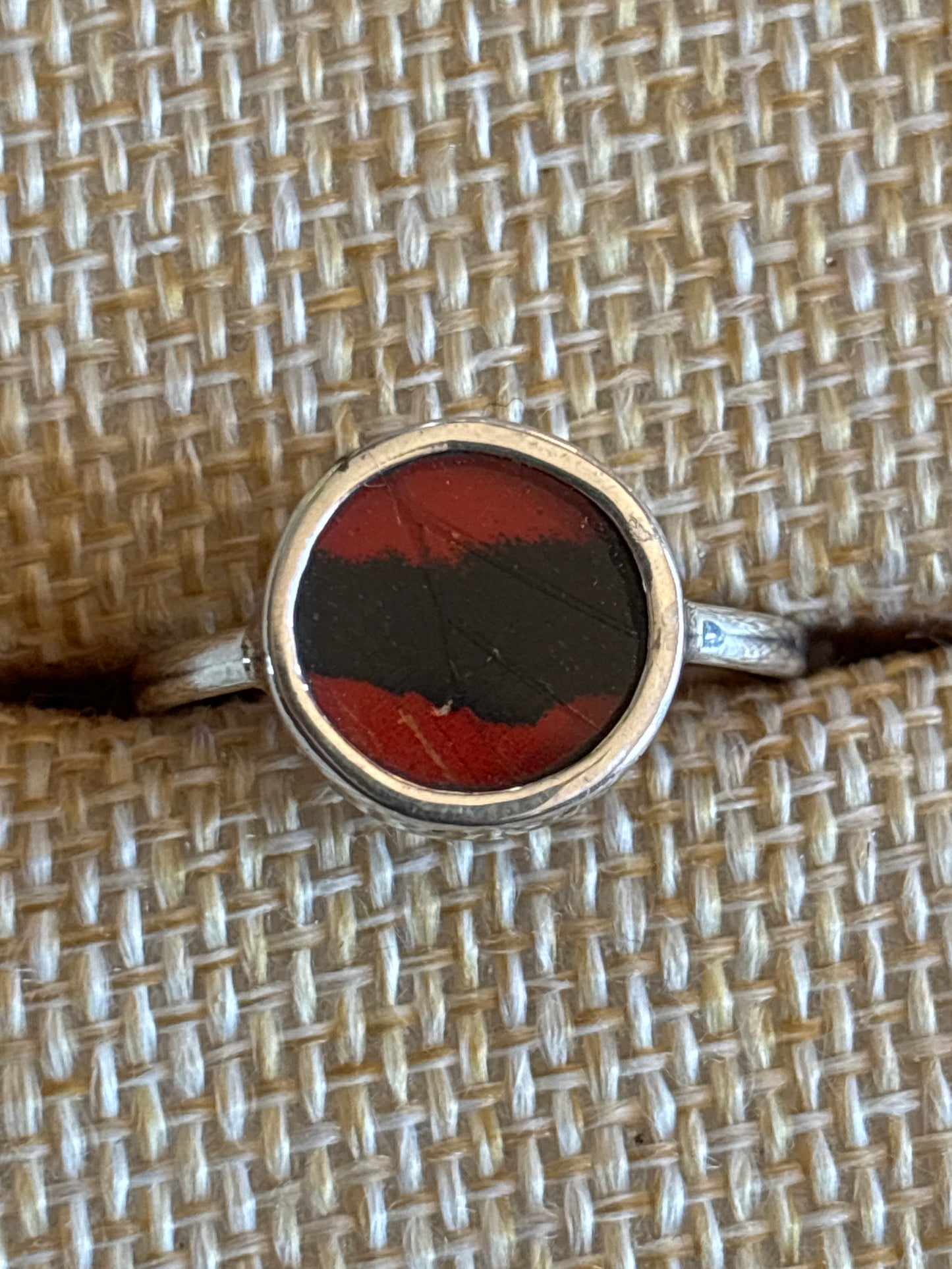 Butterfly Wing Rings (Small)
