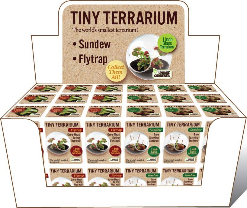 Tiny Terrarium Carnivorous Glass