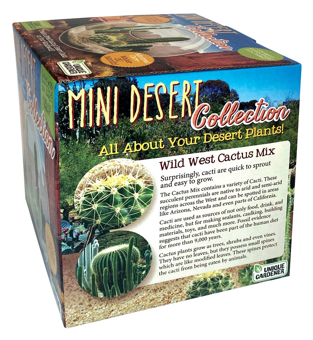 Mini Desert Collection Glass Terrarium