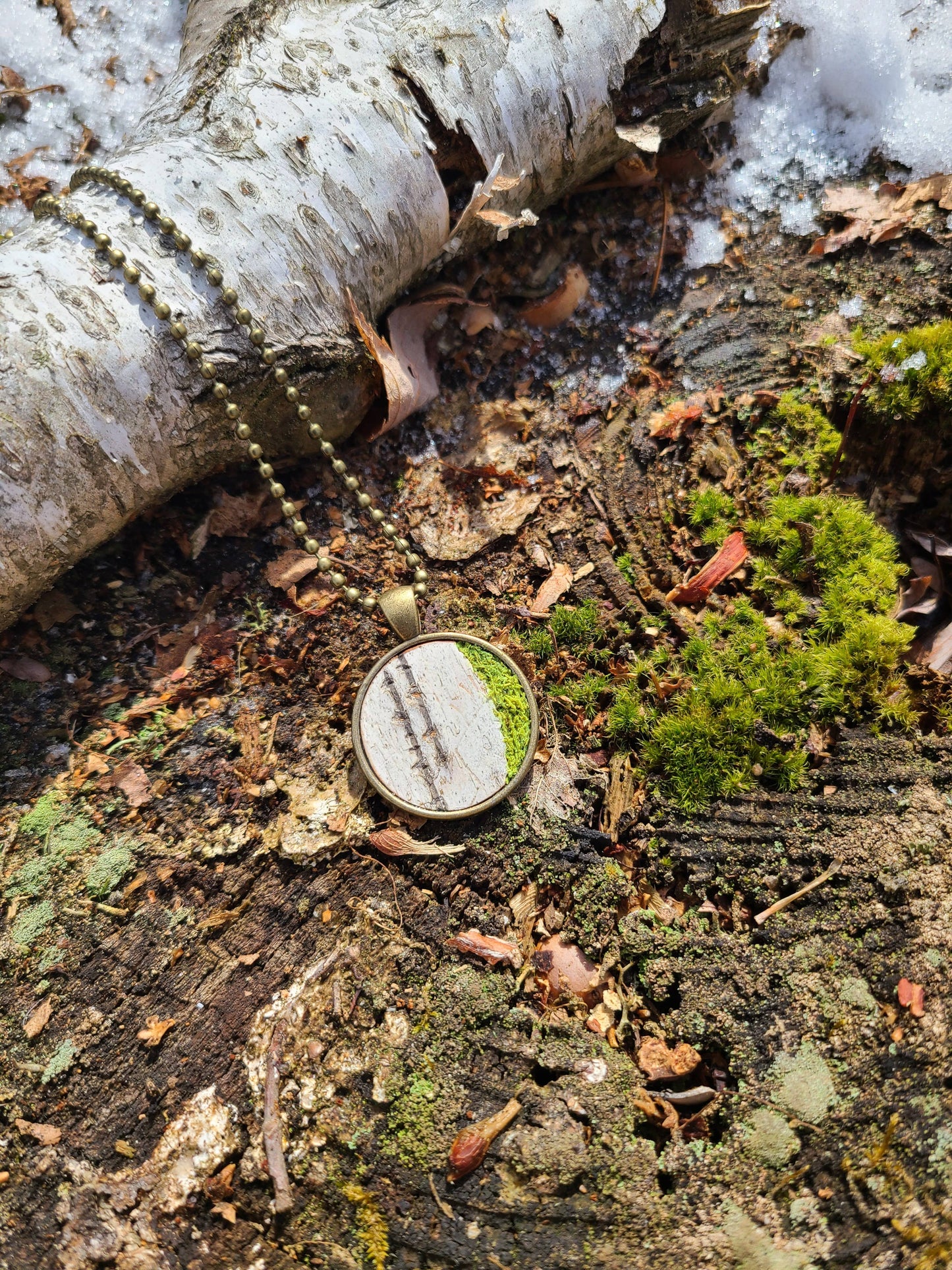 Mossy Birch Bark Circle Necklace & Stud Earring Set