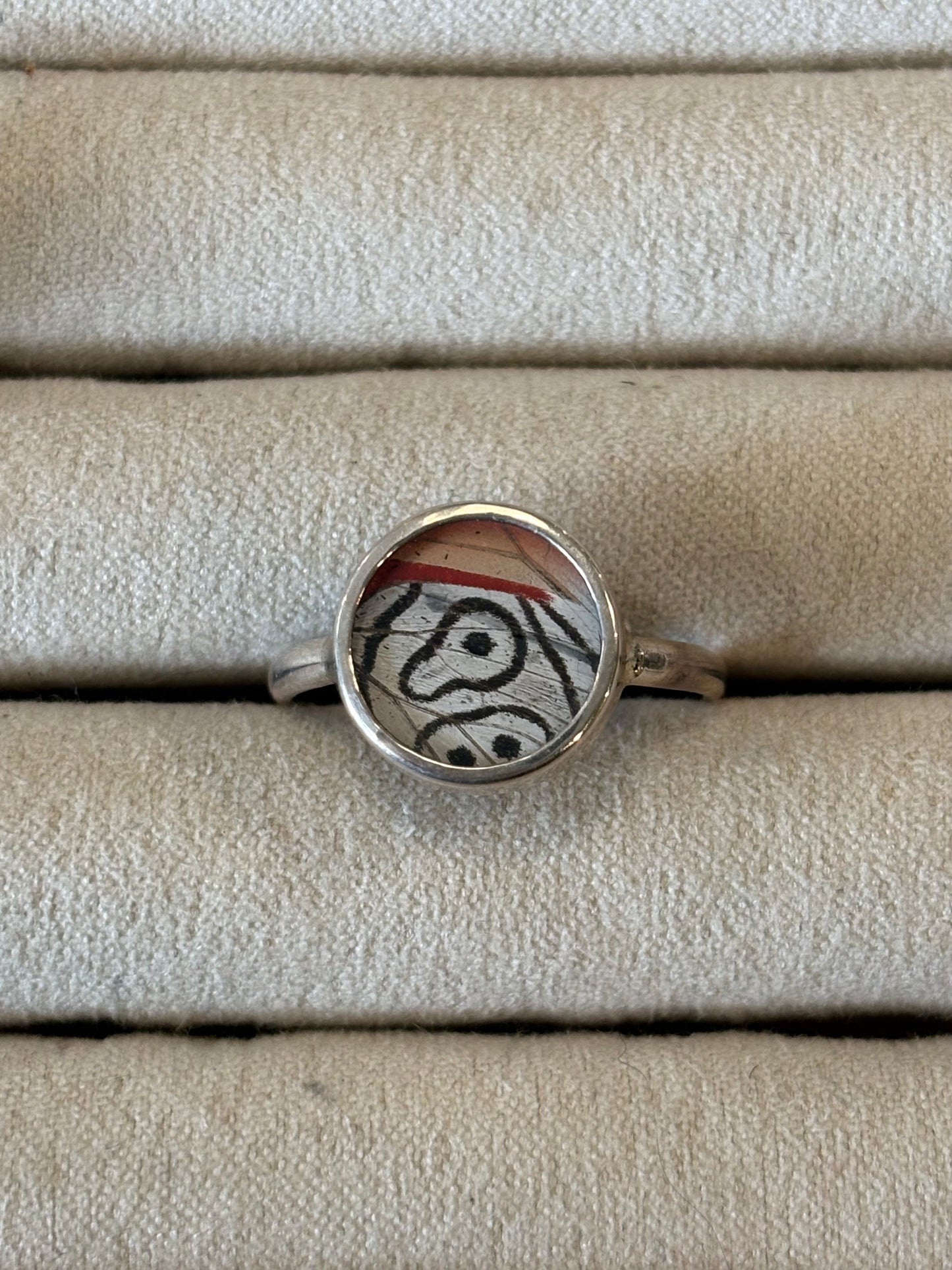 Butterfly Wing Rings (Small)