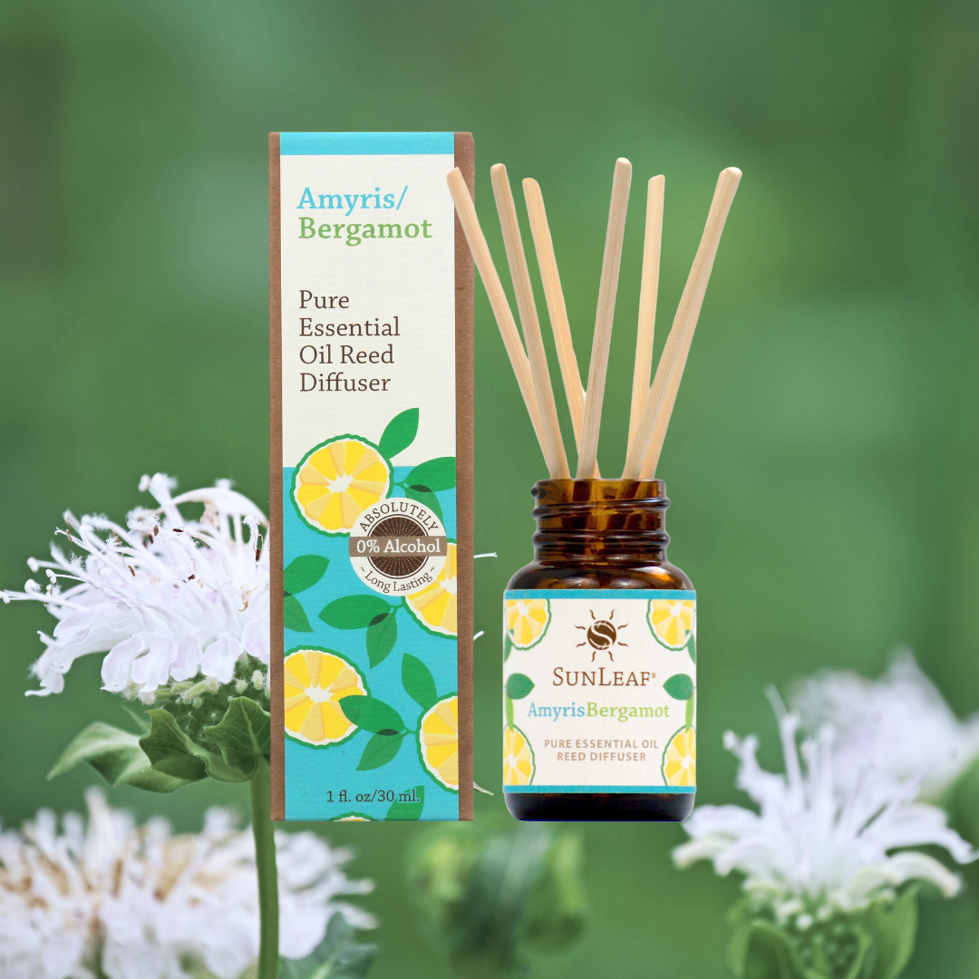 1 oz Reed Diffuser - Amyris Bergamot