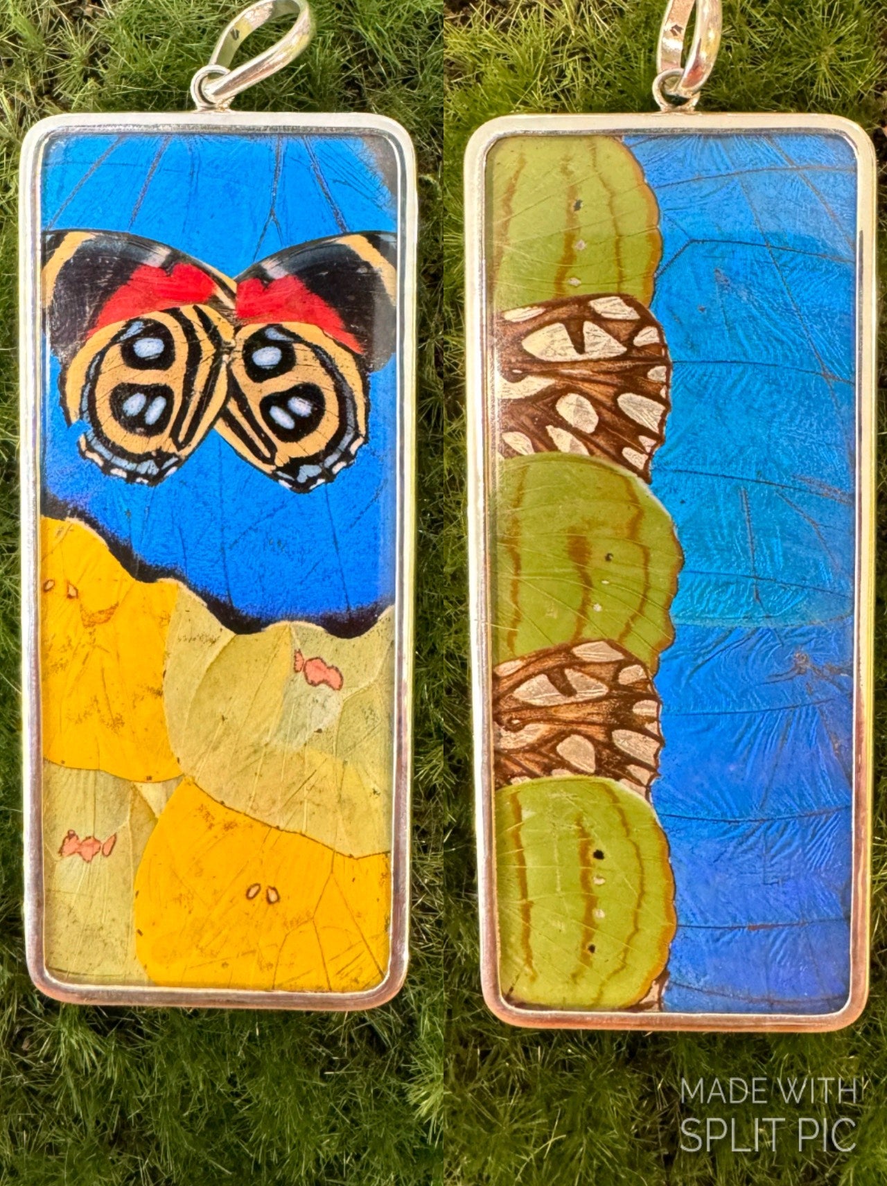 Butterfly Wing Pendants & Bracelets