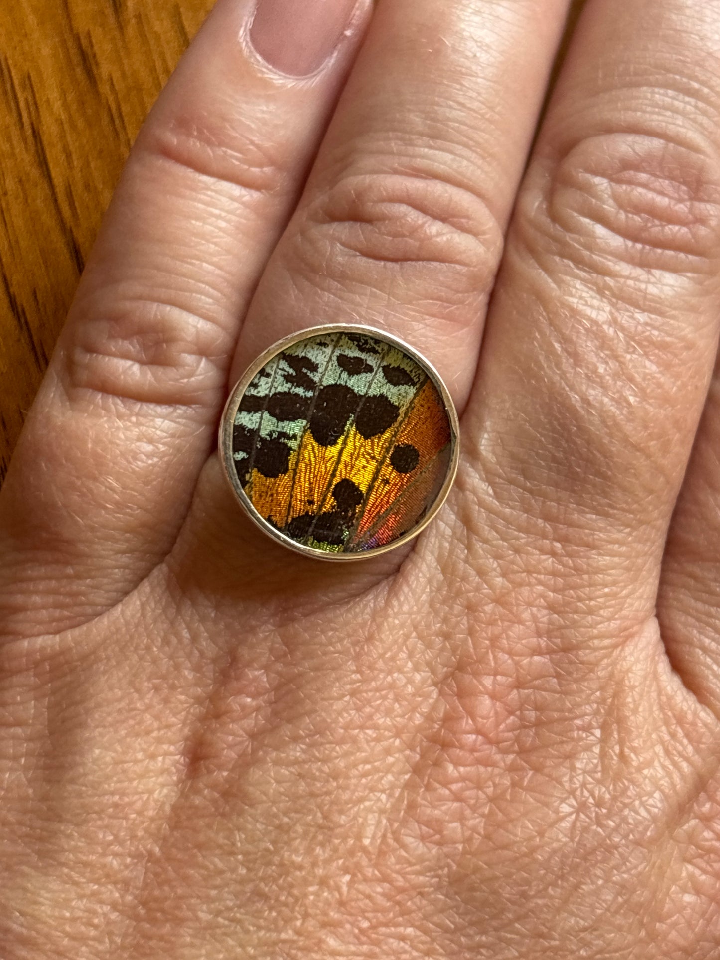 Butterfly Wing Rings | Adjustable