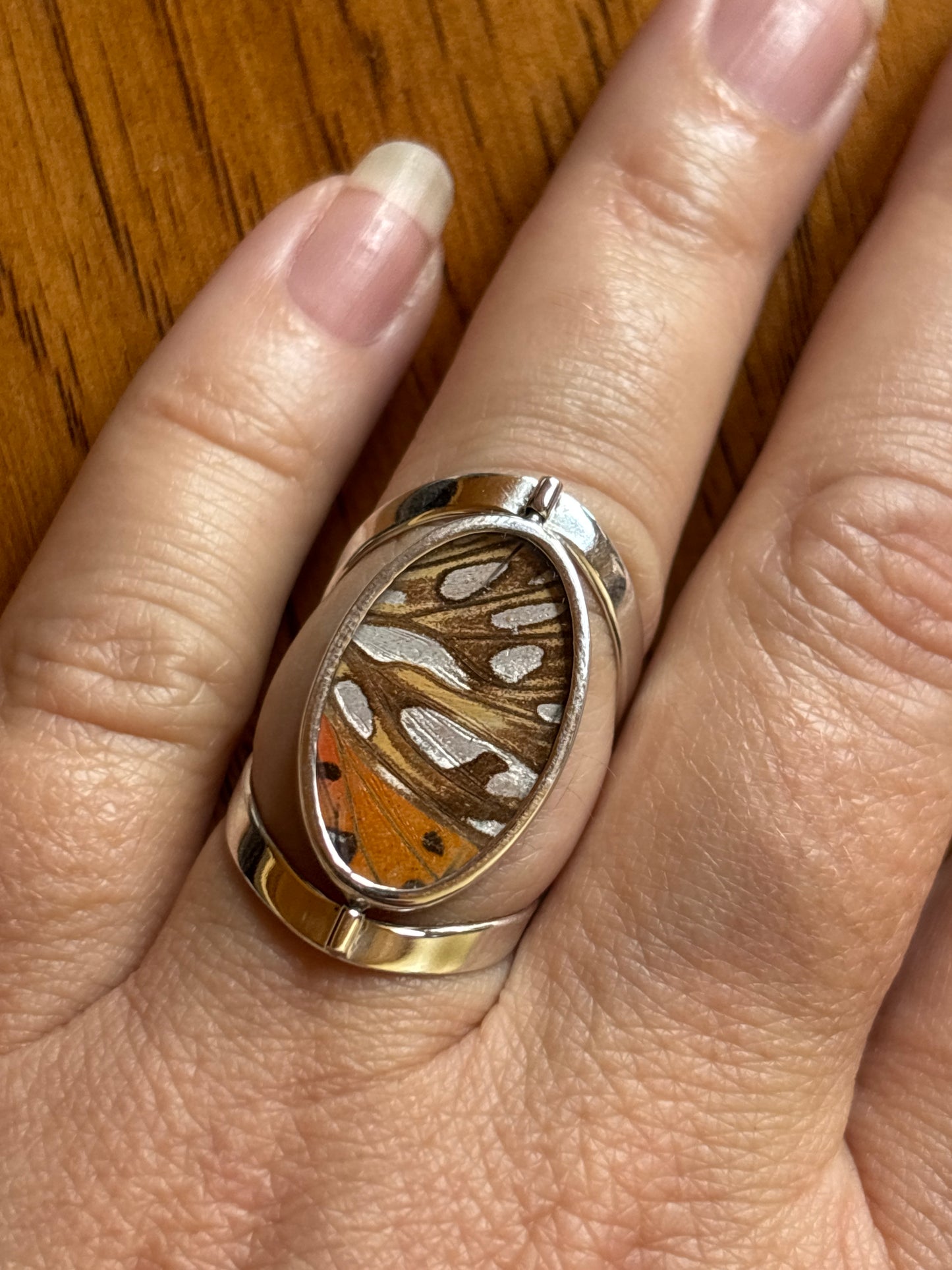 Butterfly Wing Rings | Adjustable