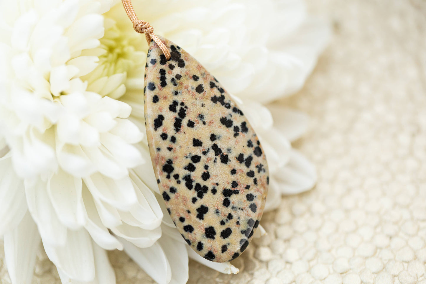 Dalmatian Jasper Touchstone Necklace for Glee