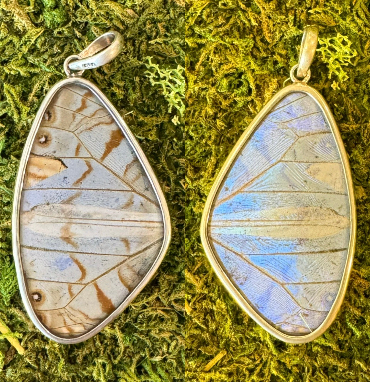 Butterfly Wing Pendants & Bracelets