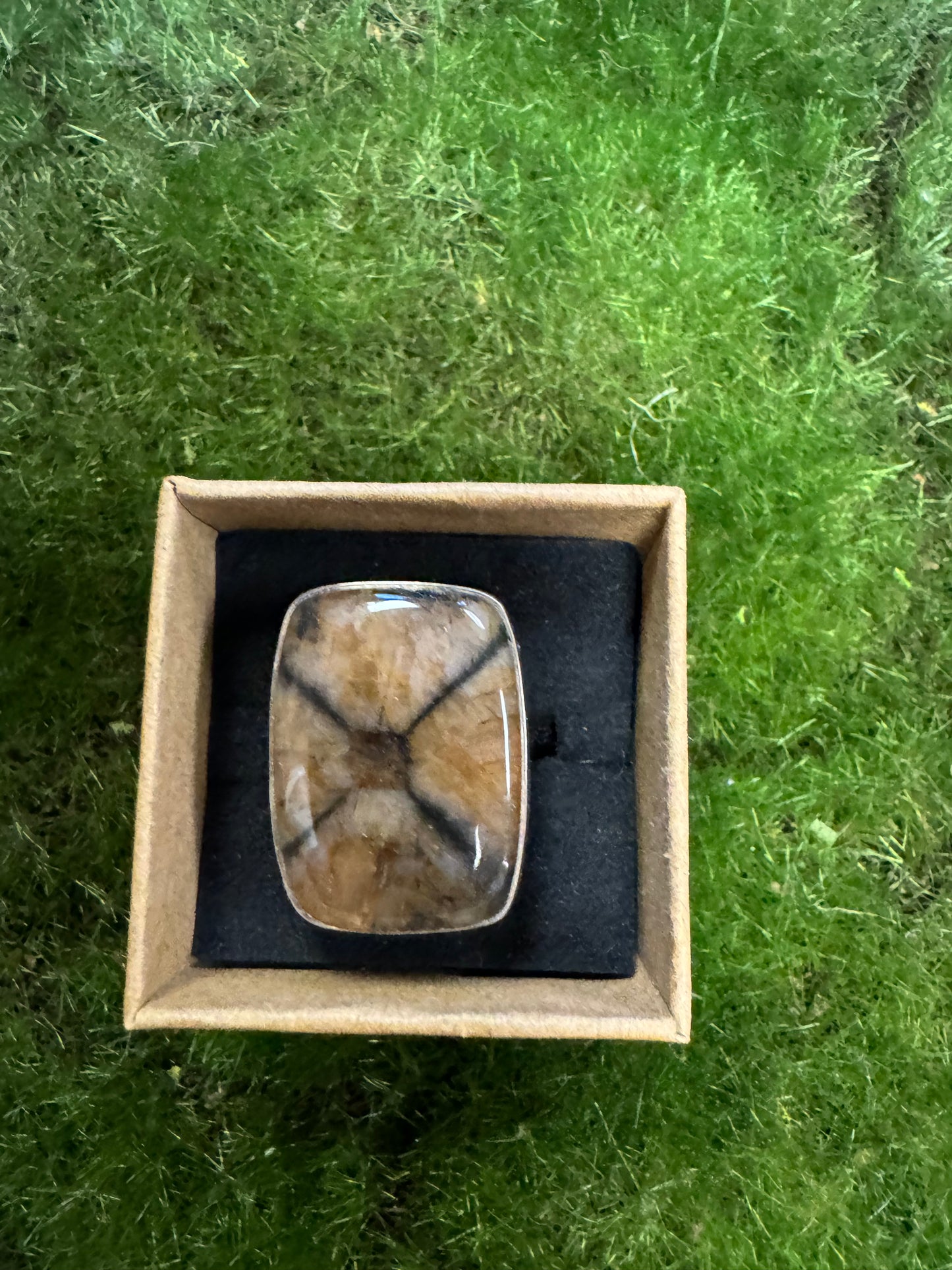 Chiastolite Ring | size 8