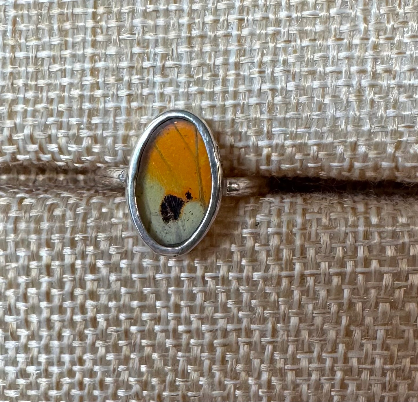 Butterfly Wing Rings (Small)