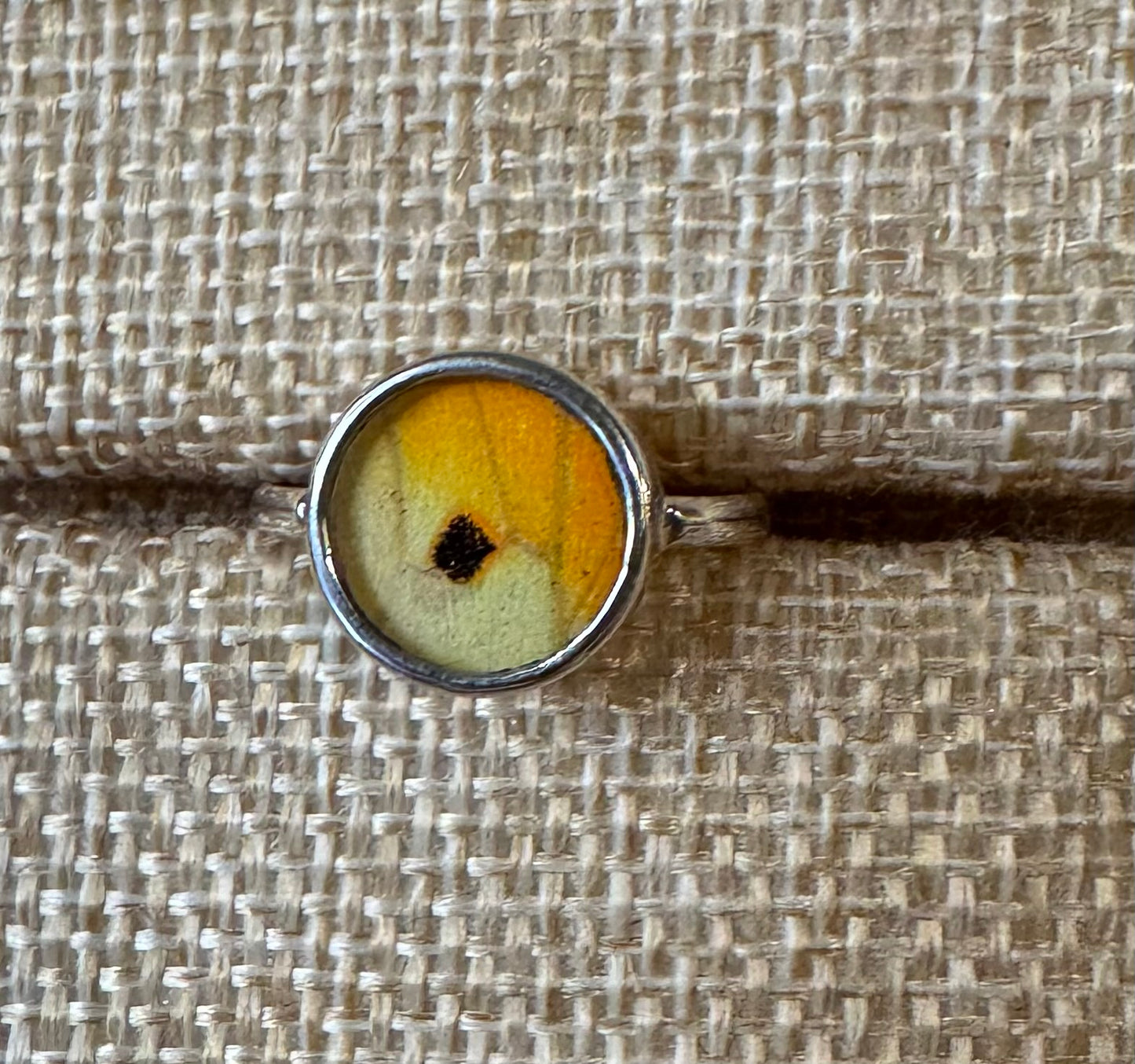 Butterfly Wing Rings (Small)