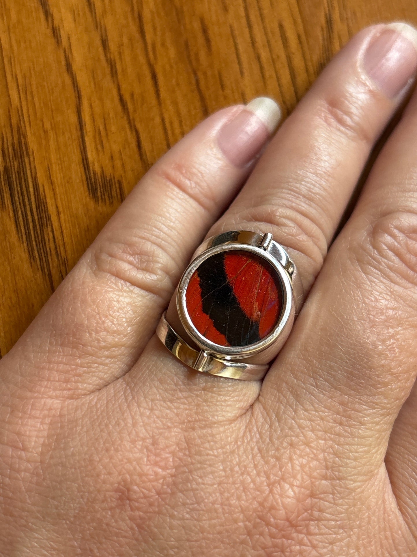 Butterfly Wing Rings | Adjustable
