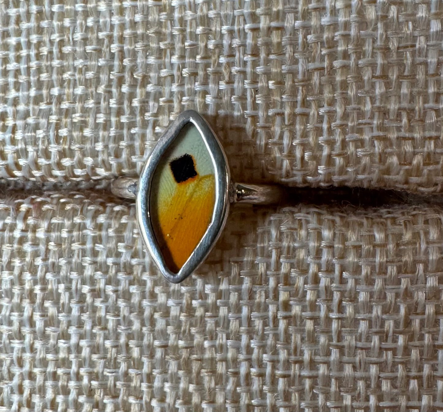 Butterfly Wing Rings (Small)