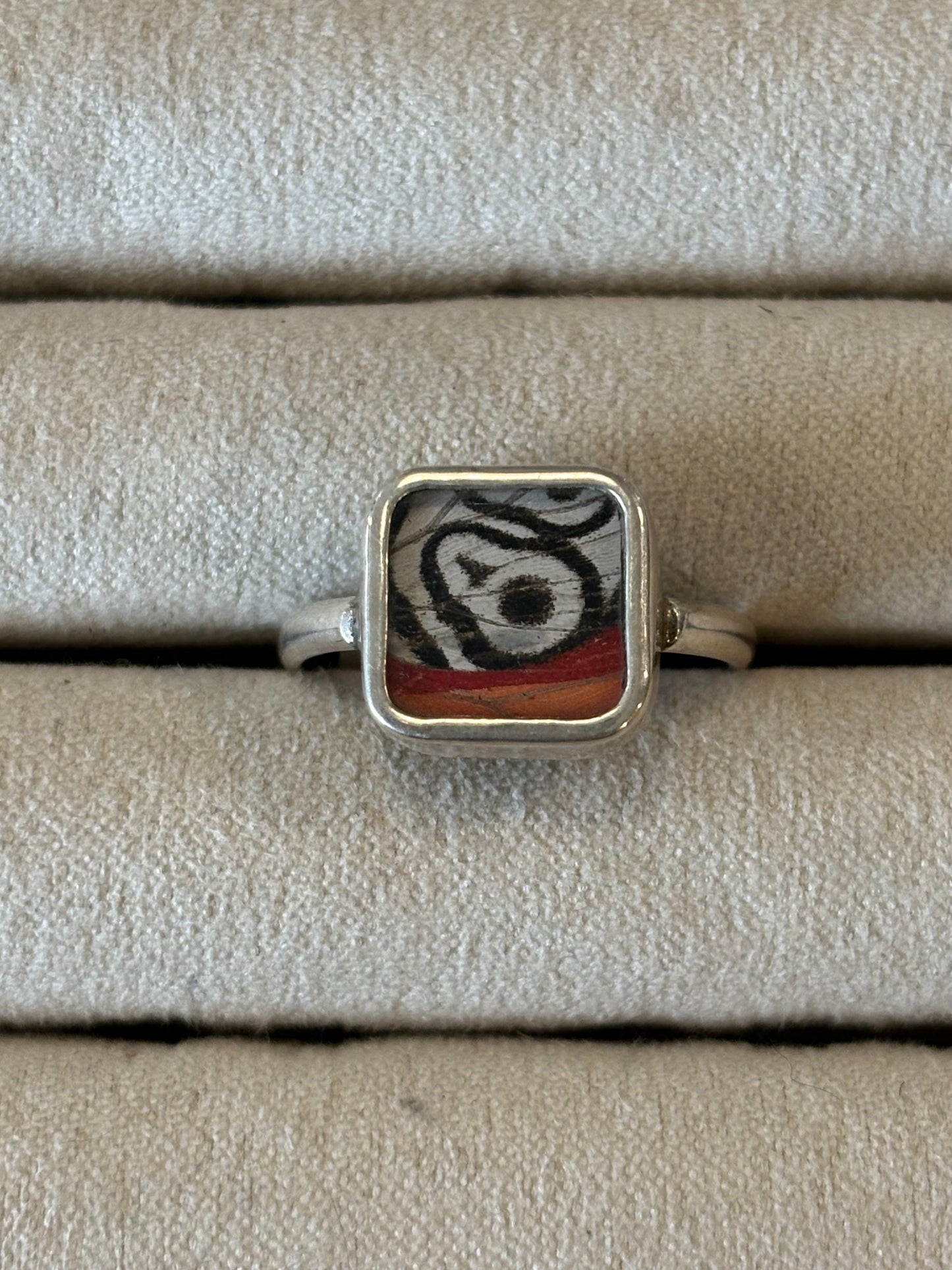Butterfly Wing Rings (Small)