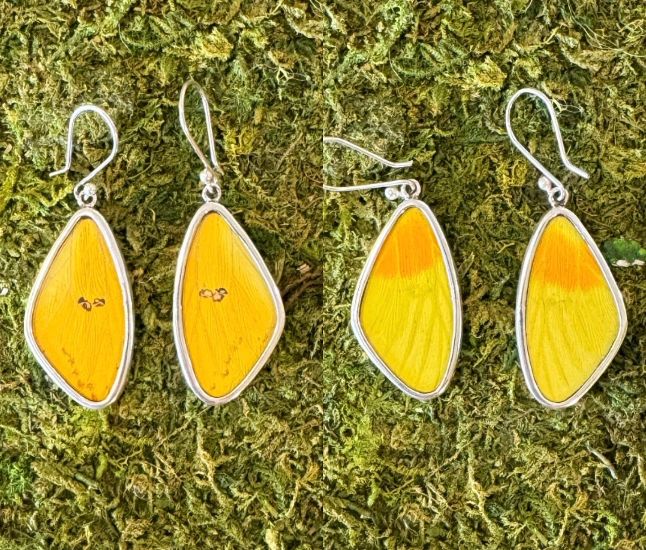 Butterfly Wing Earrings