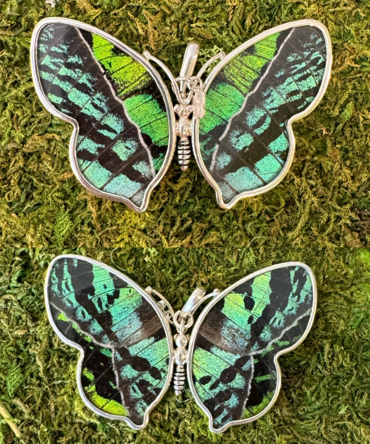 Butterfly Wing Pendants & Bracelets