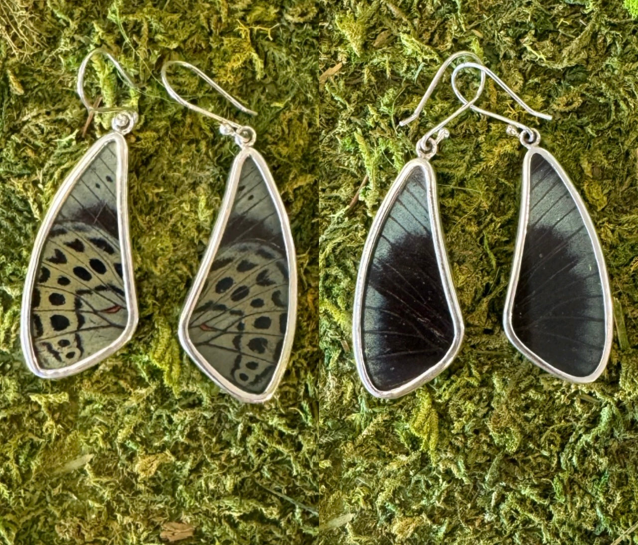 Butterfly Wing Earrings