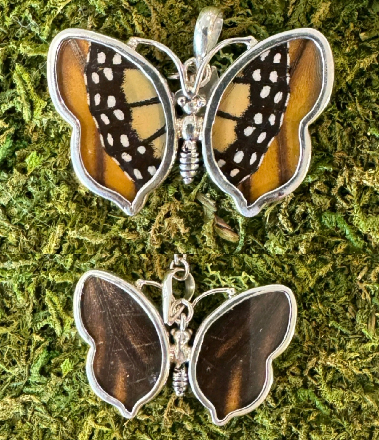 Butterfly Wing Pendants & Bracelets