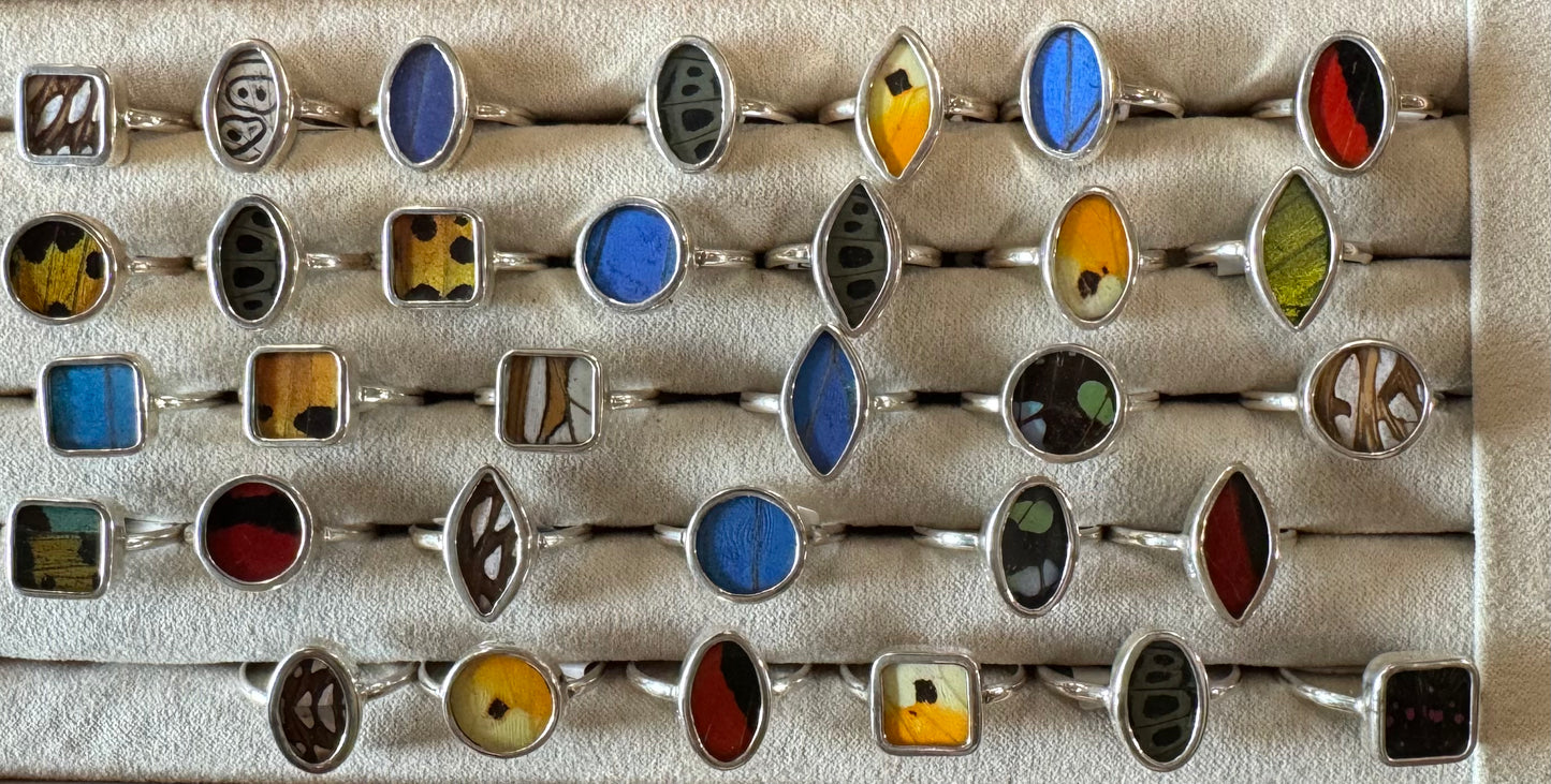 Butterfly Wing Rings (Small)