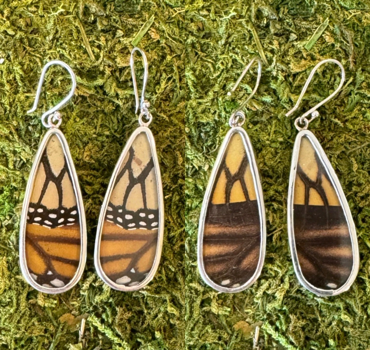 Butterfly Wing Earrings