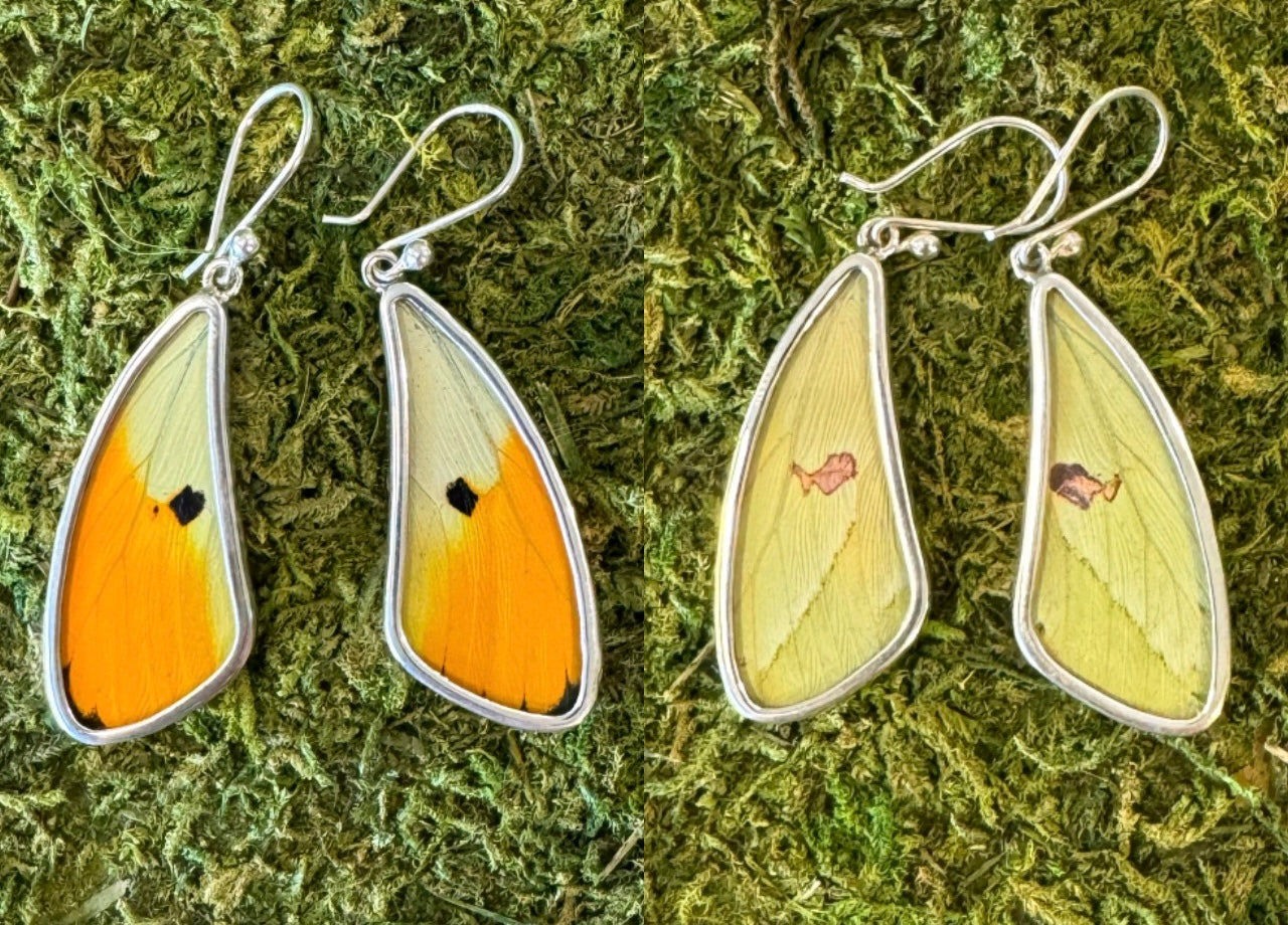 Butterfly Wing Earrings
