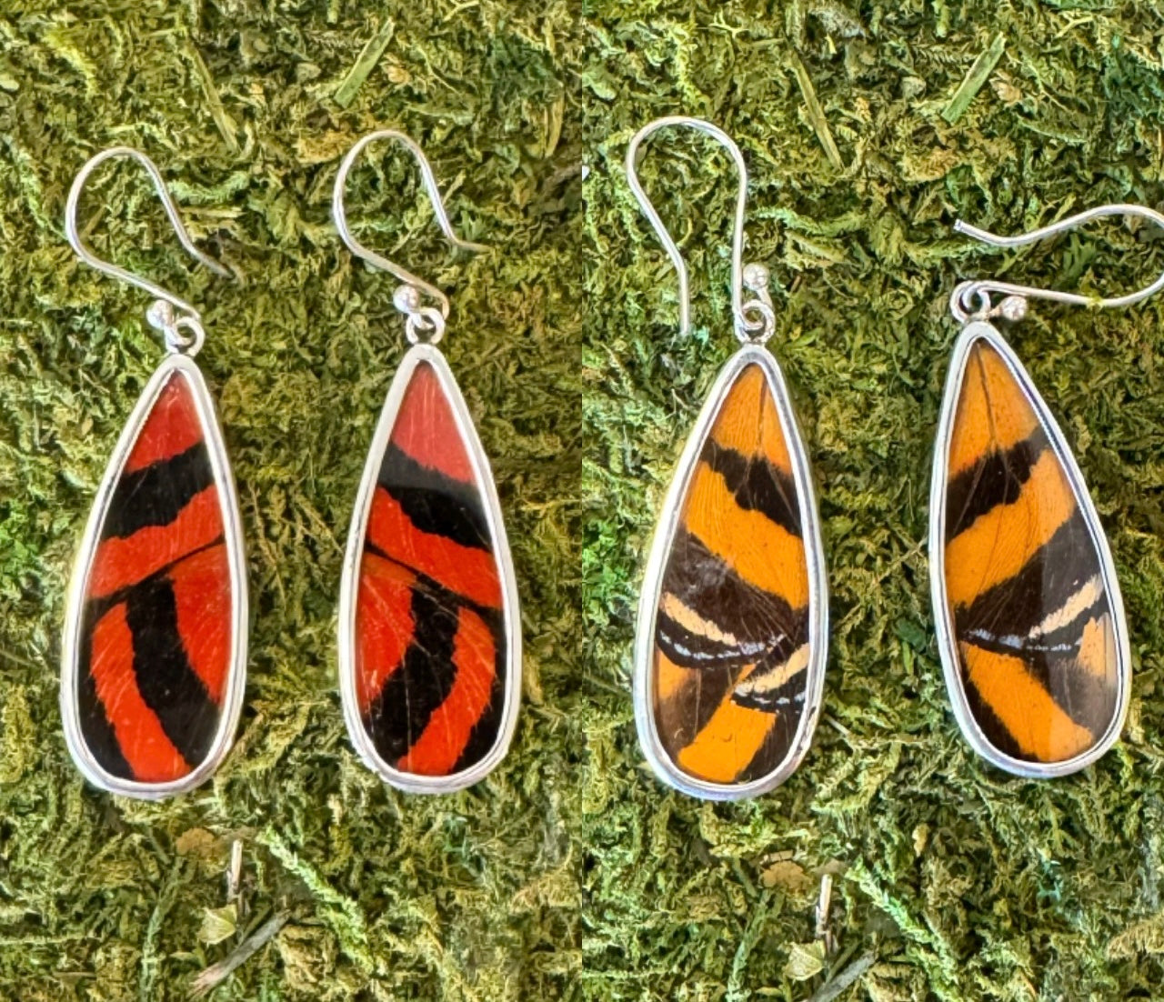 Butterfly Wing Earrings