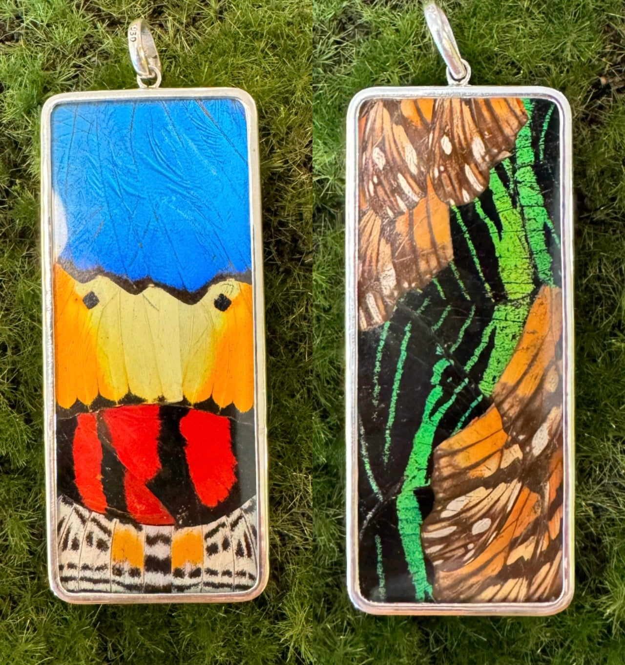 Butterfly Wing Pendants & Bracelets