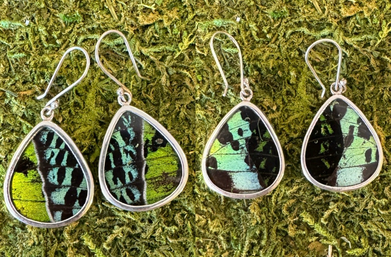 Butterfly Wing Earrings
