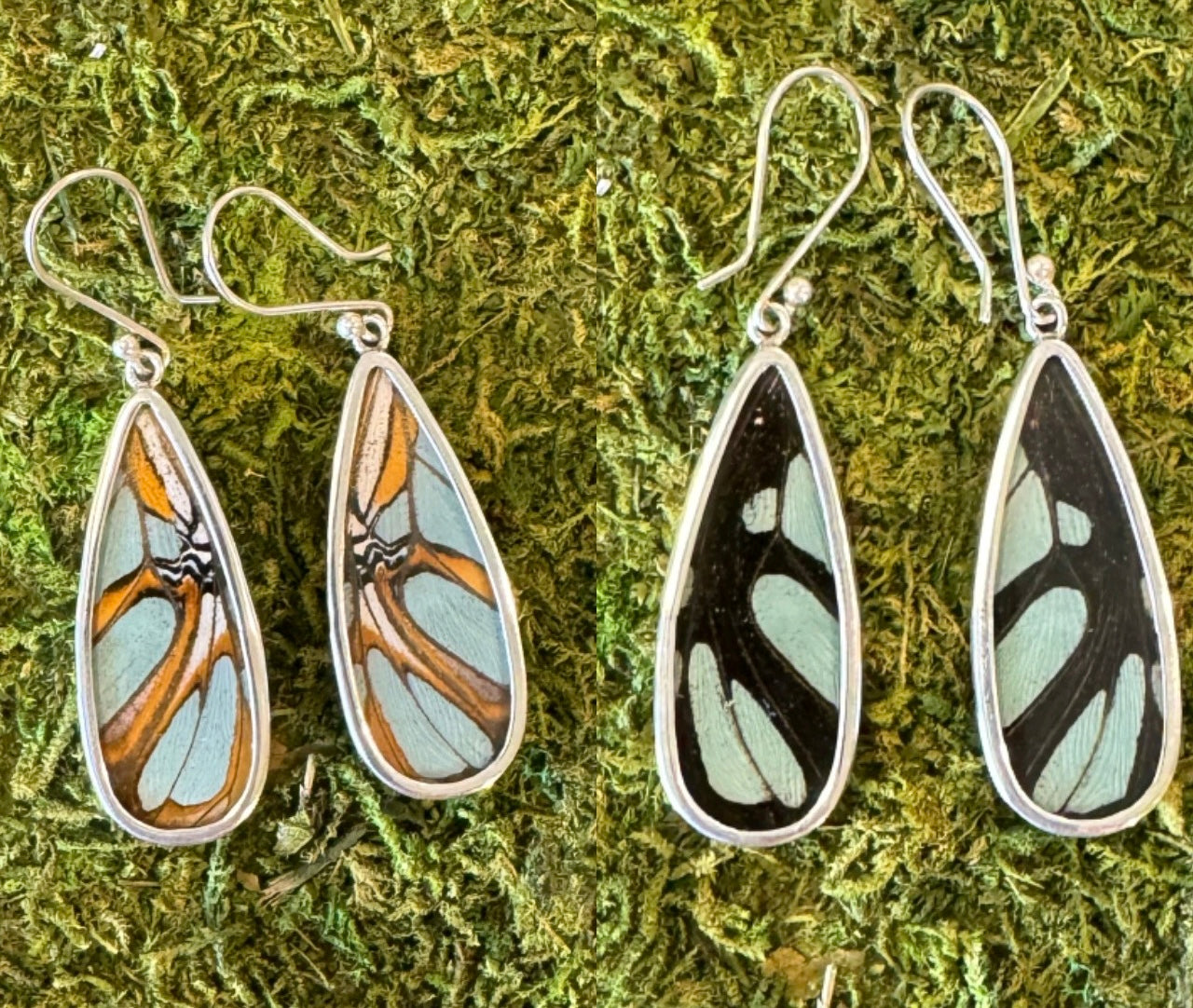 Butterfly Wing Earrings