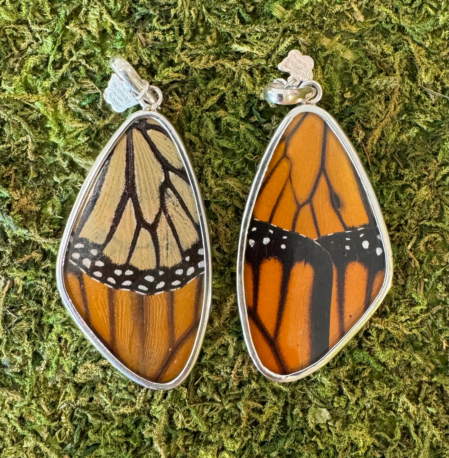 Butterfly Wing Pendants & Bracelets