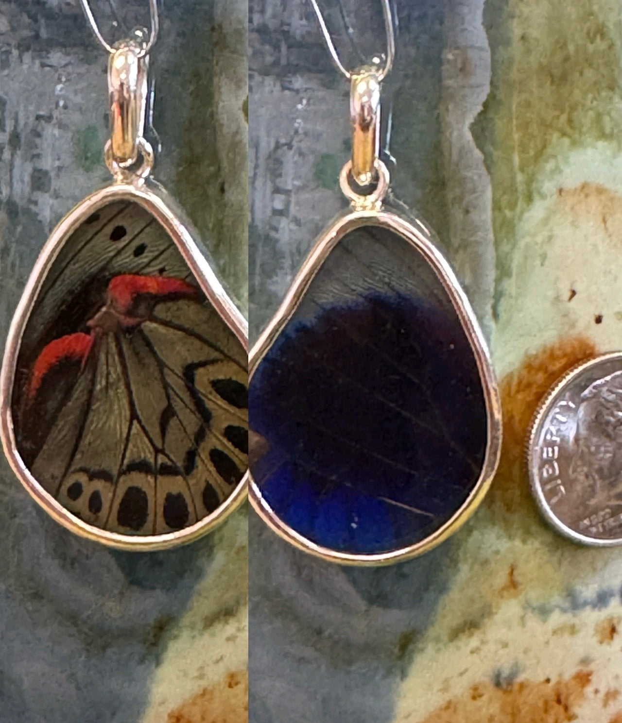 Butterfly Wing Pendants & Bracelets