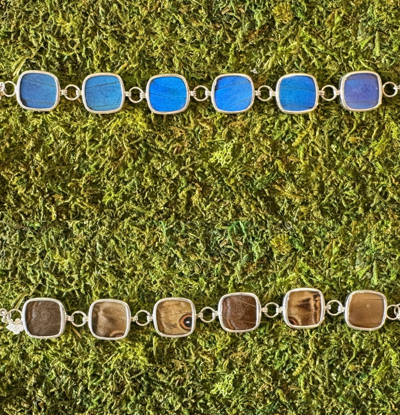 Butterfly Wing Pendants & Bracelets