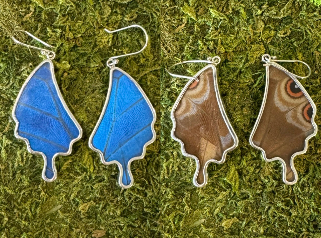 Butterfly Wing Earrings