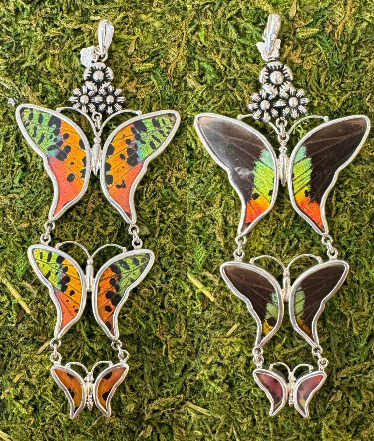 Butterfly Wing Pendants & Bracelets