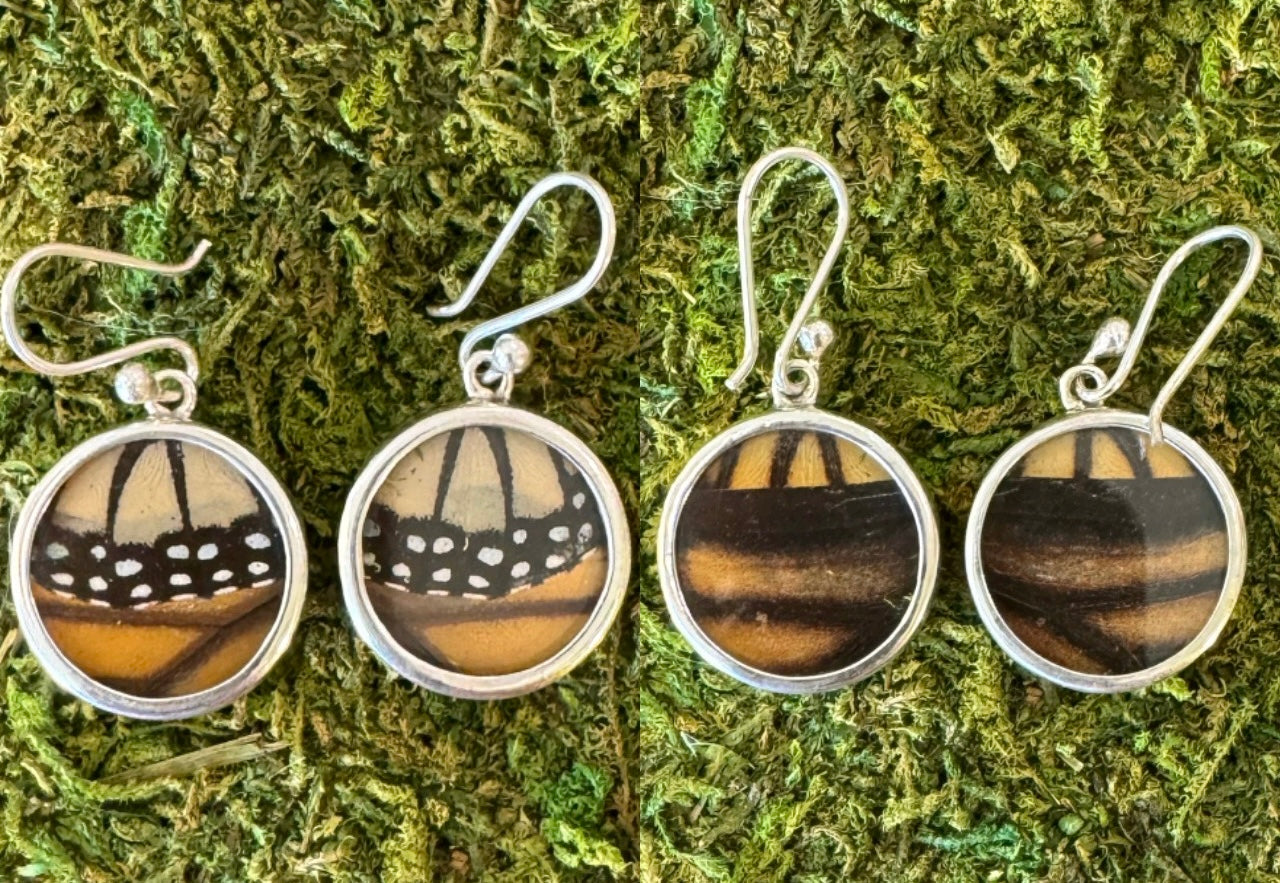 Butterfly Wing Earrings