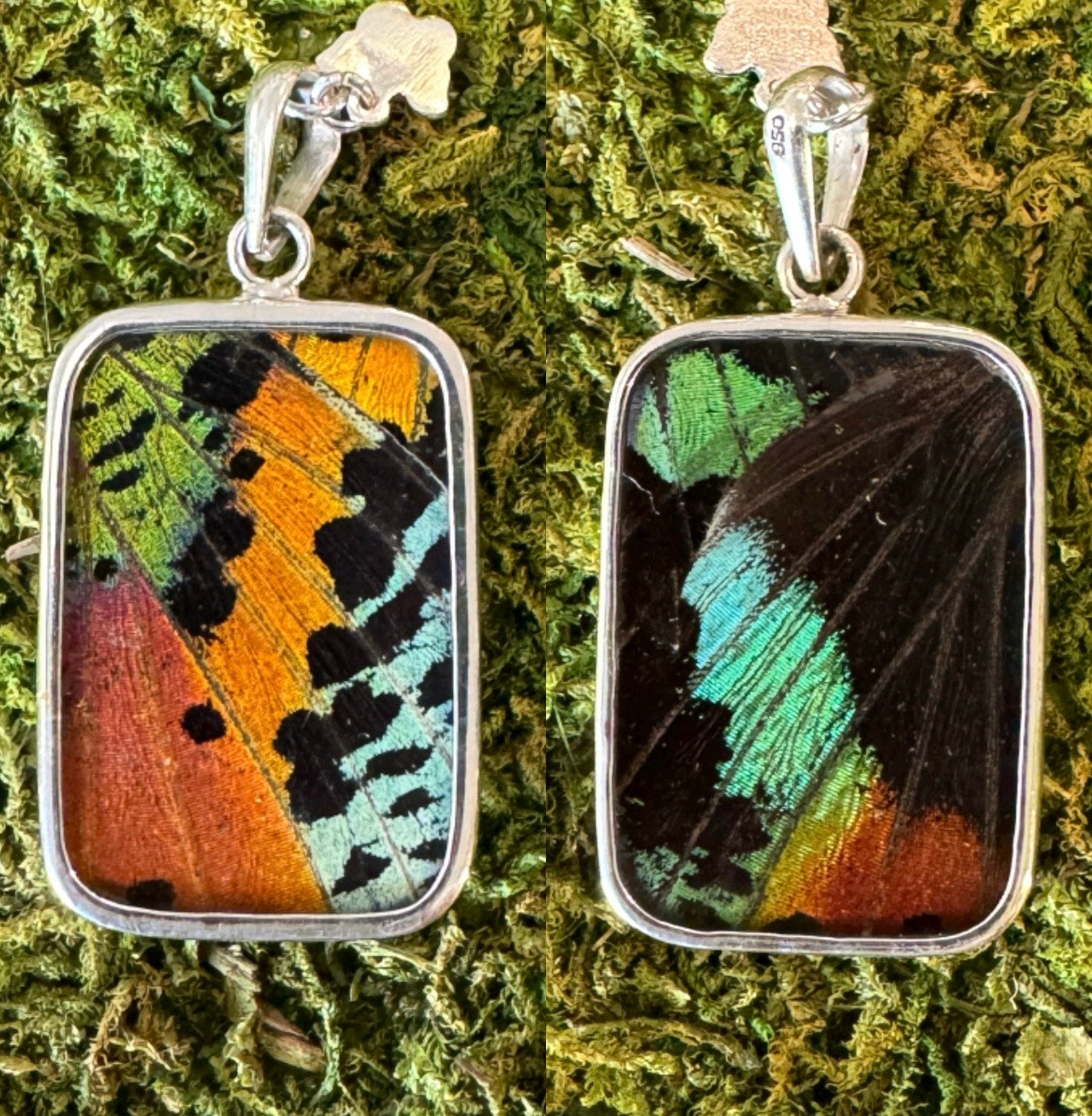 Butterfly Wing Pendants & Bracelets