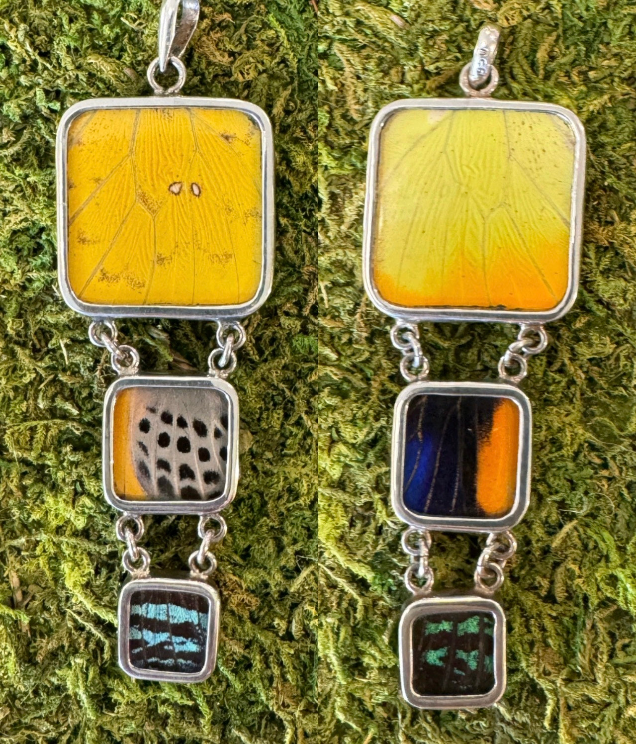 Butterfly Wing Pendants & Bracelets