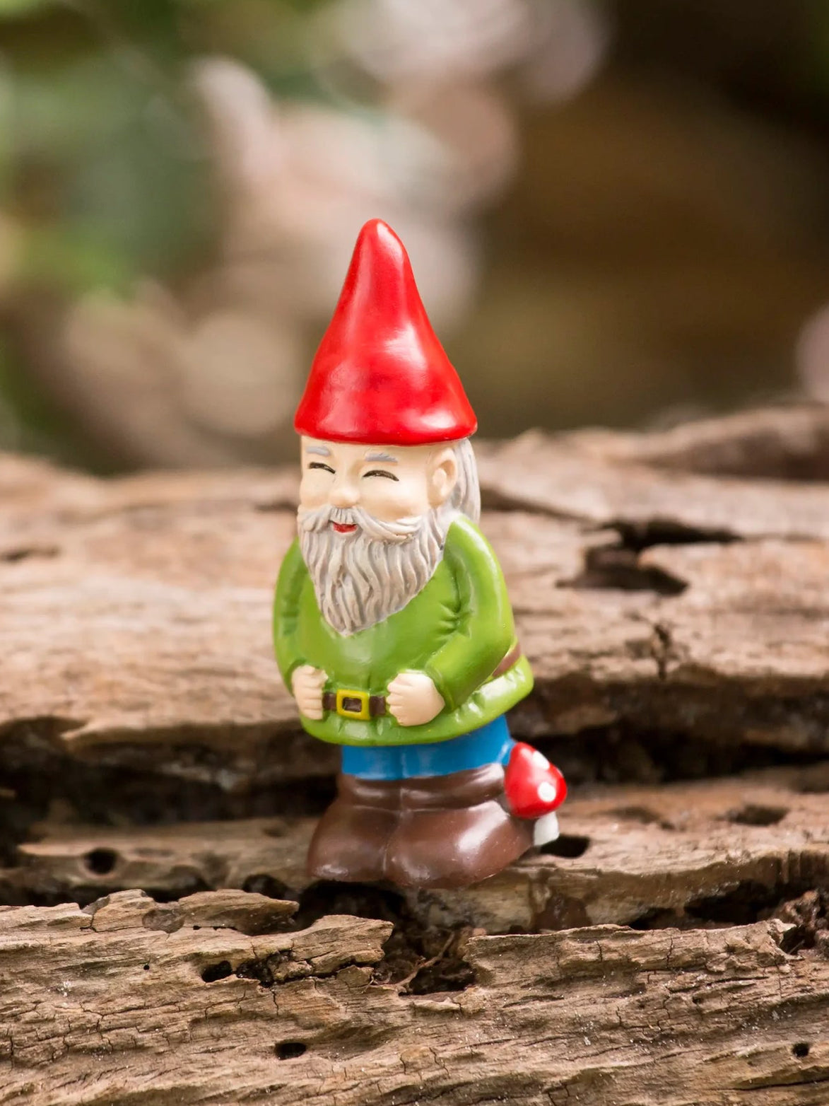 Lucky Little Garden Gnome