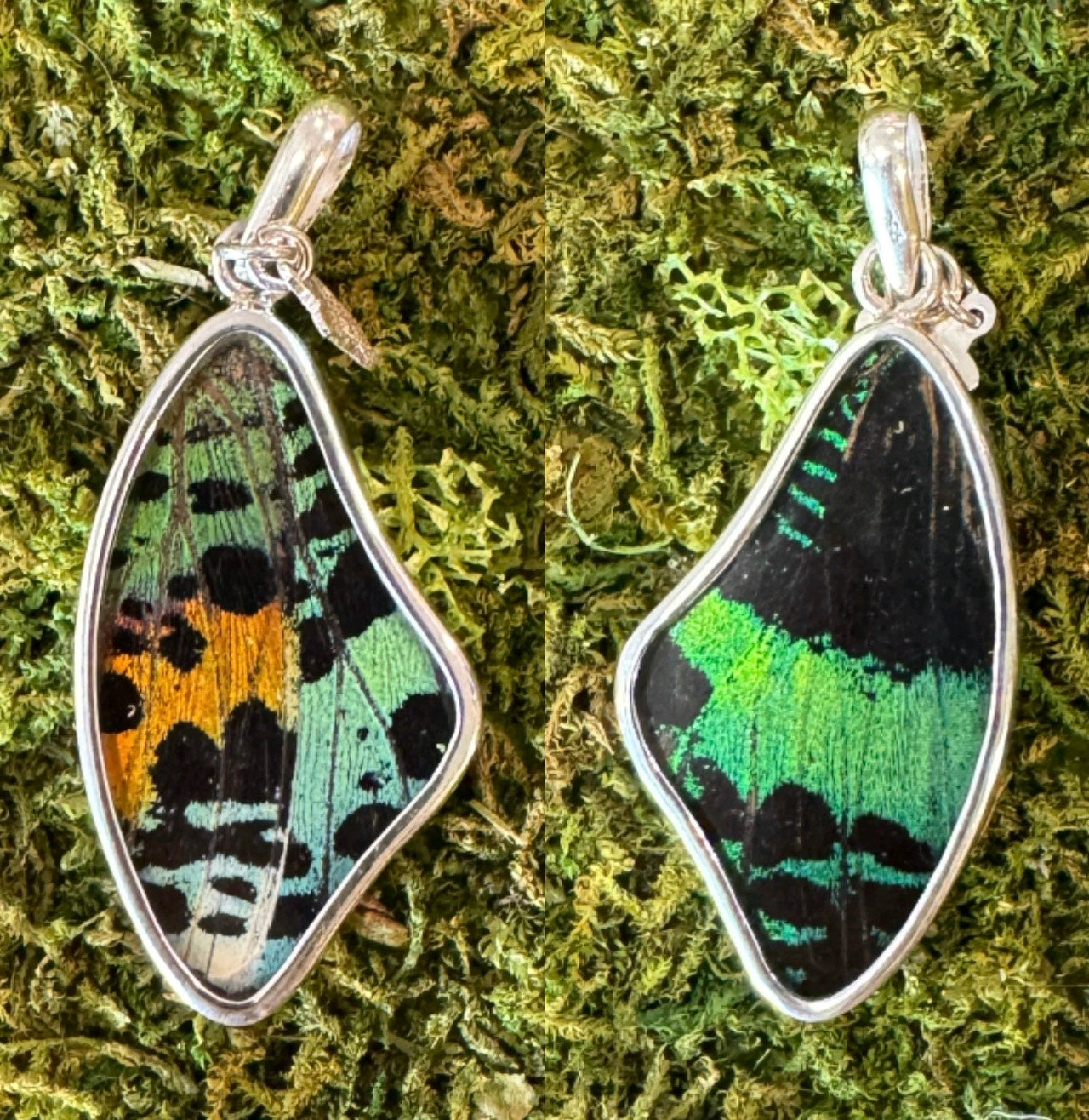 Butterfly Wing Pendants & Bracelets