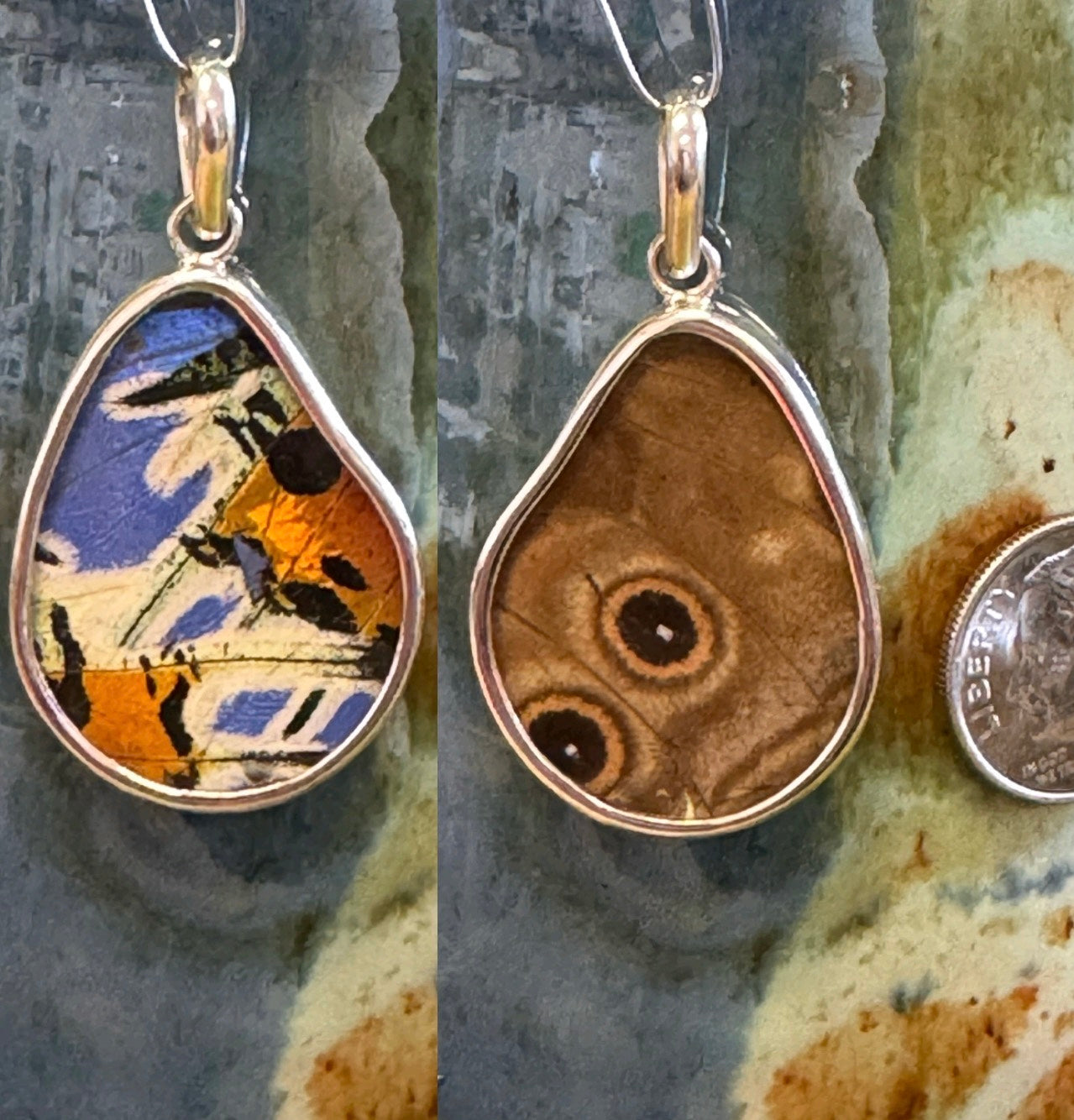 Butterfly Wing Pendants & Bracelets