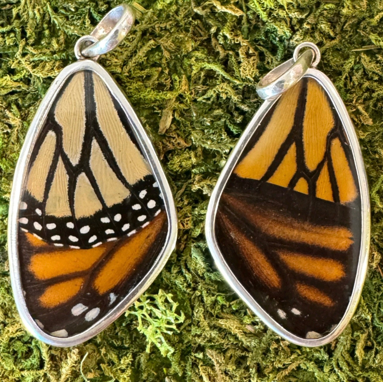 Butterfly Wing Pendants & Bracelets