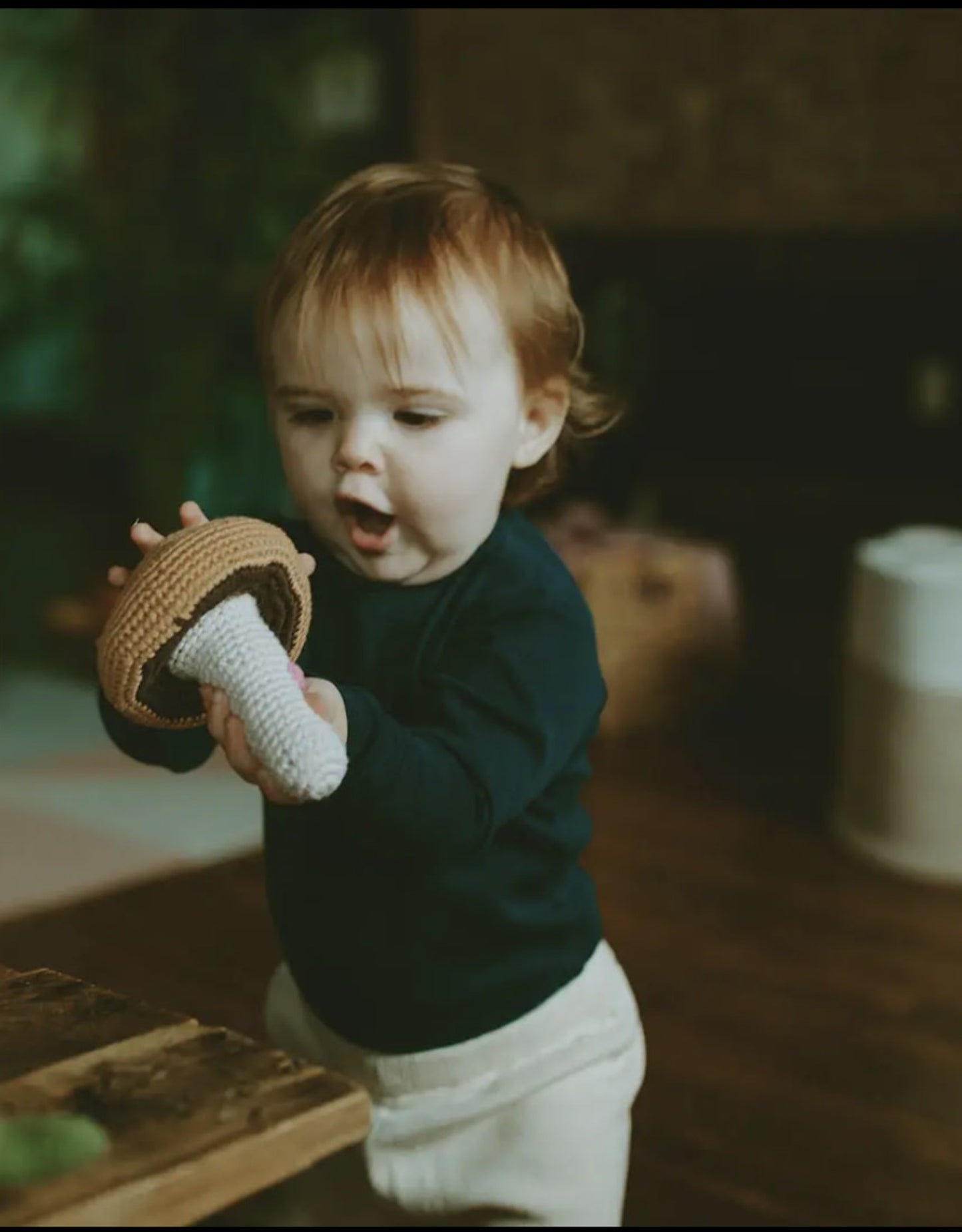 Brown Toadstool Rattle | by Pebble