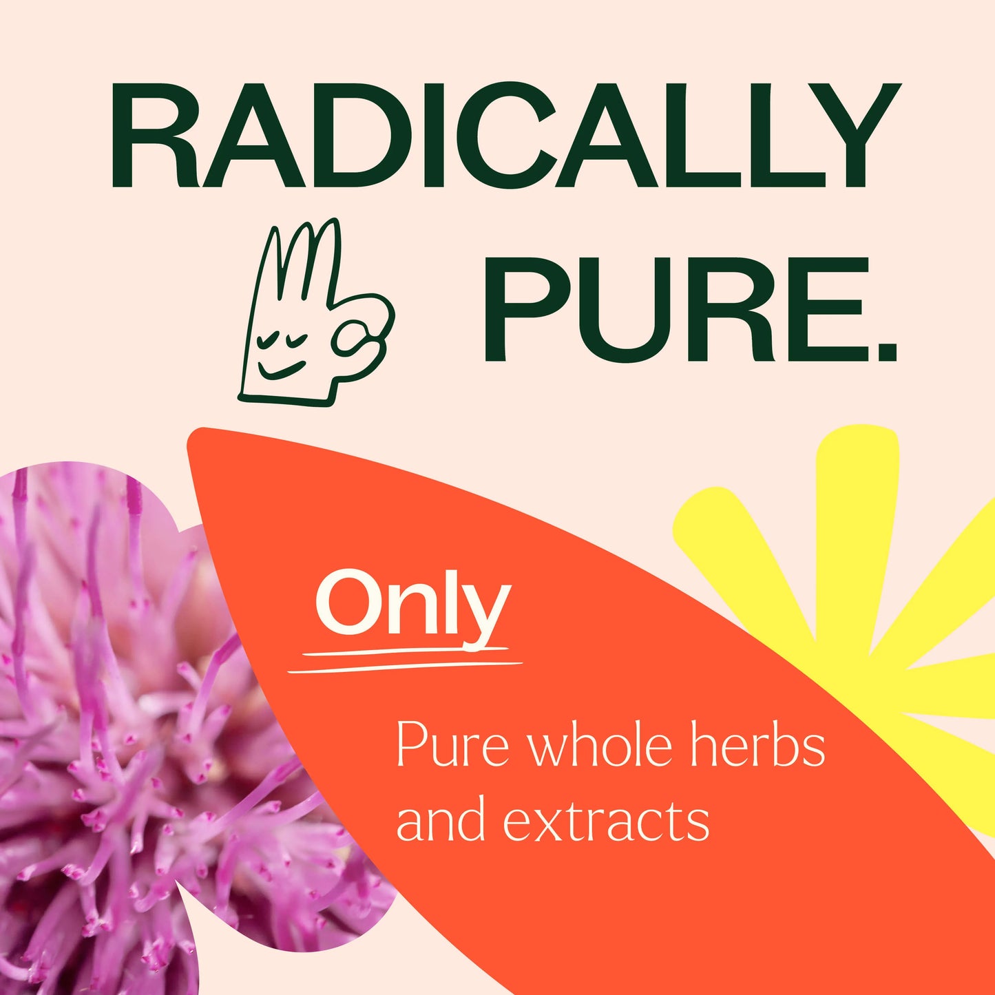 Plant Therapy Liver Tonic