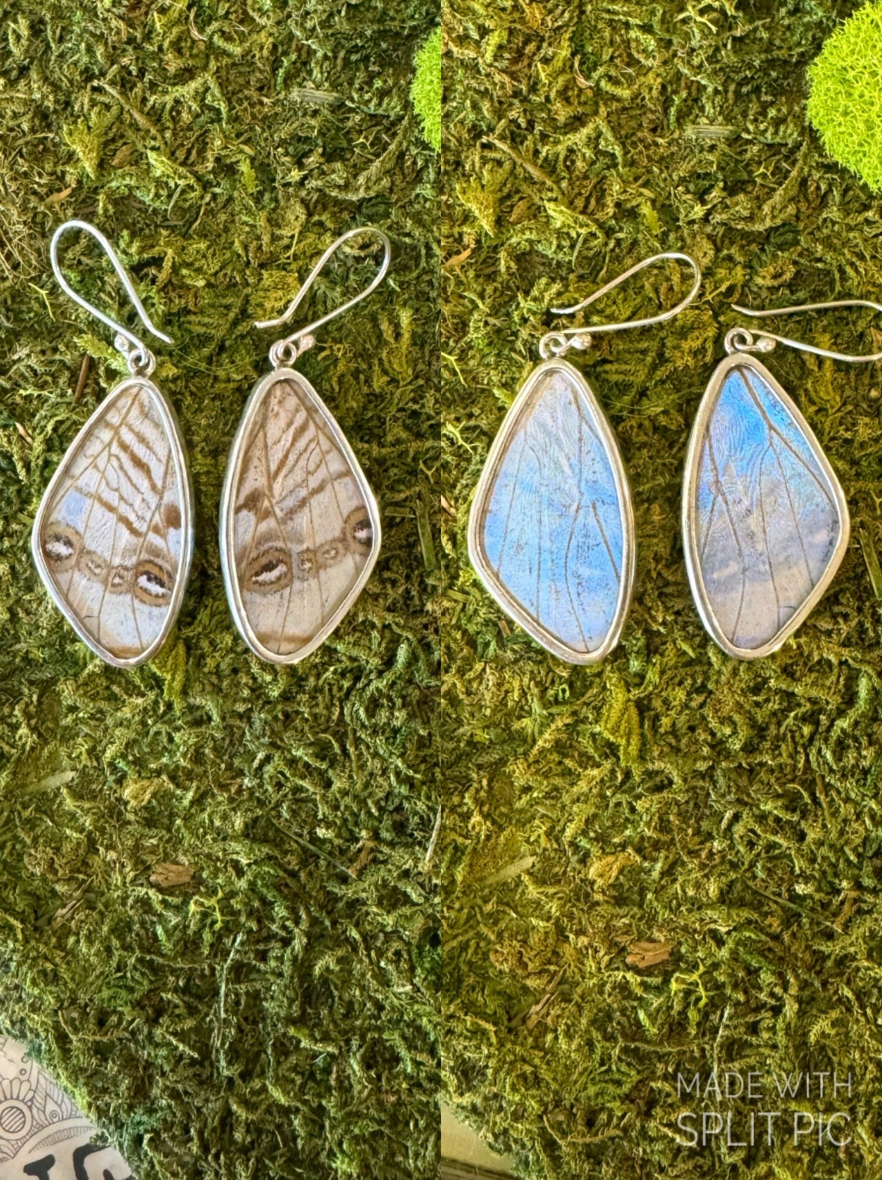 Butterfly Wing Earrings
