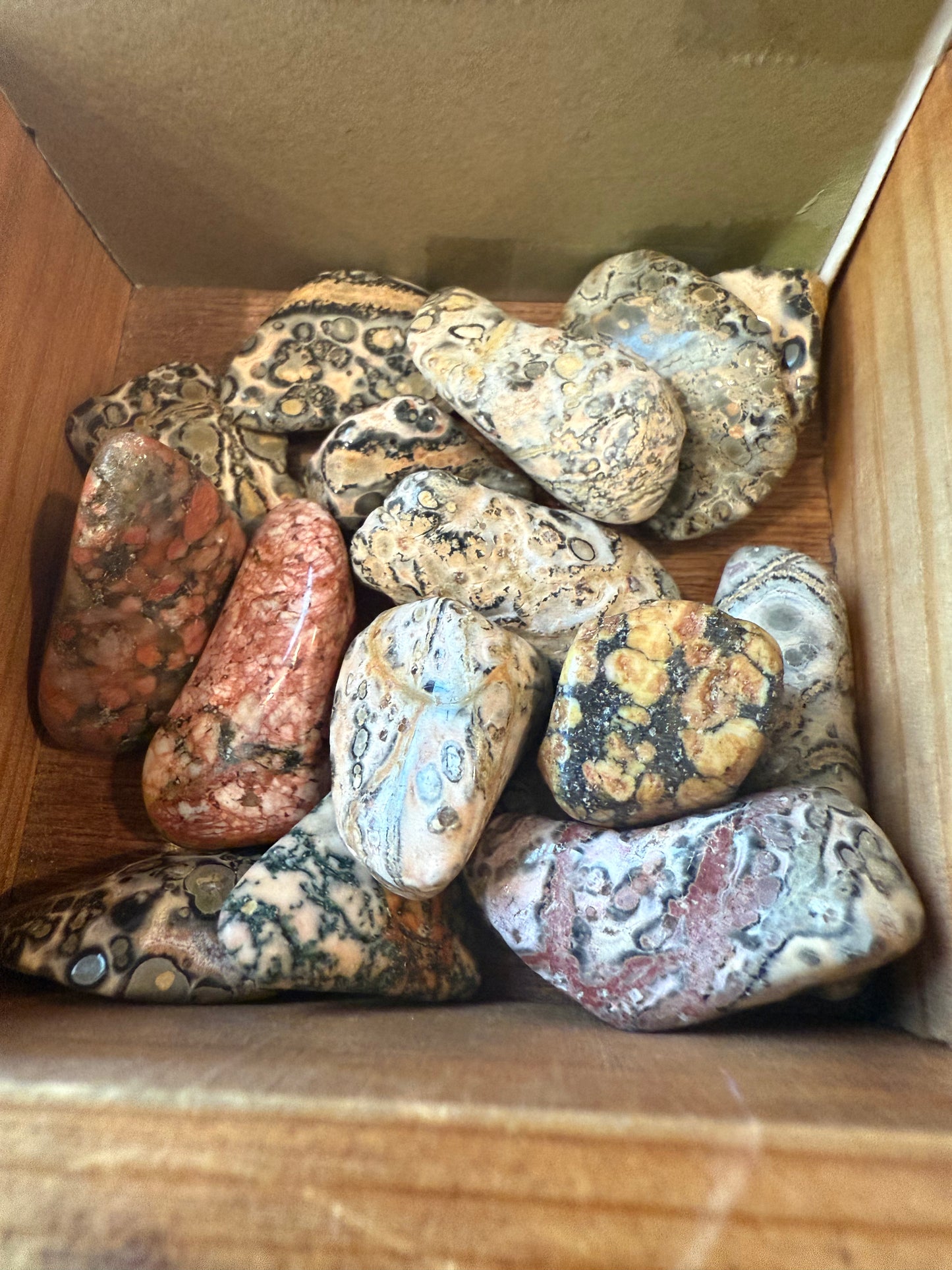 Leopard Skin Jasper Tumbled