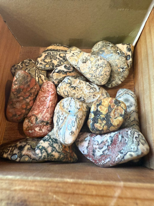 Leopard Skin Jasper Tumbled