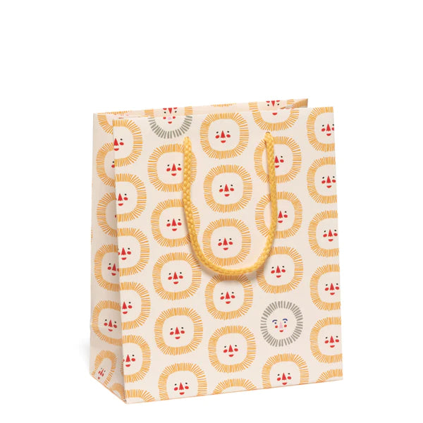 8x4x9.5 Gift Bag Options