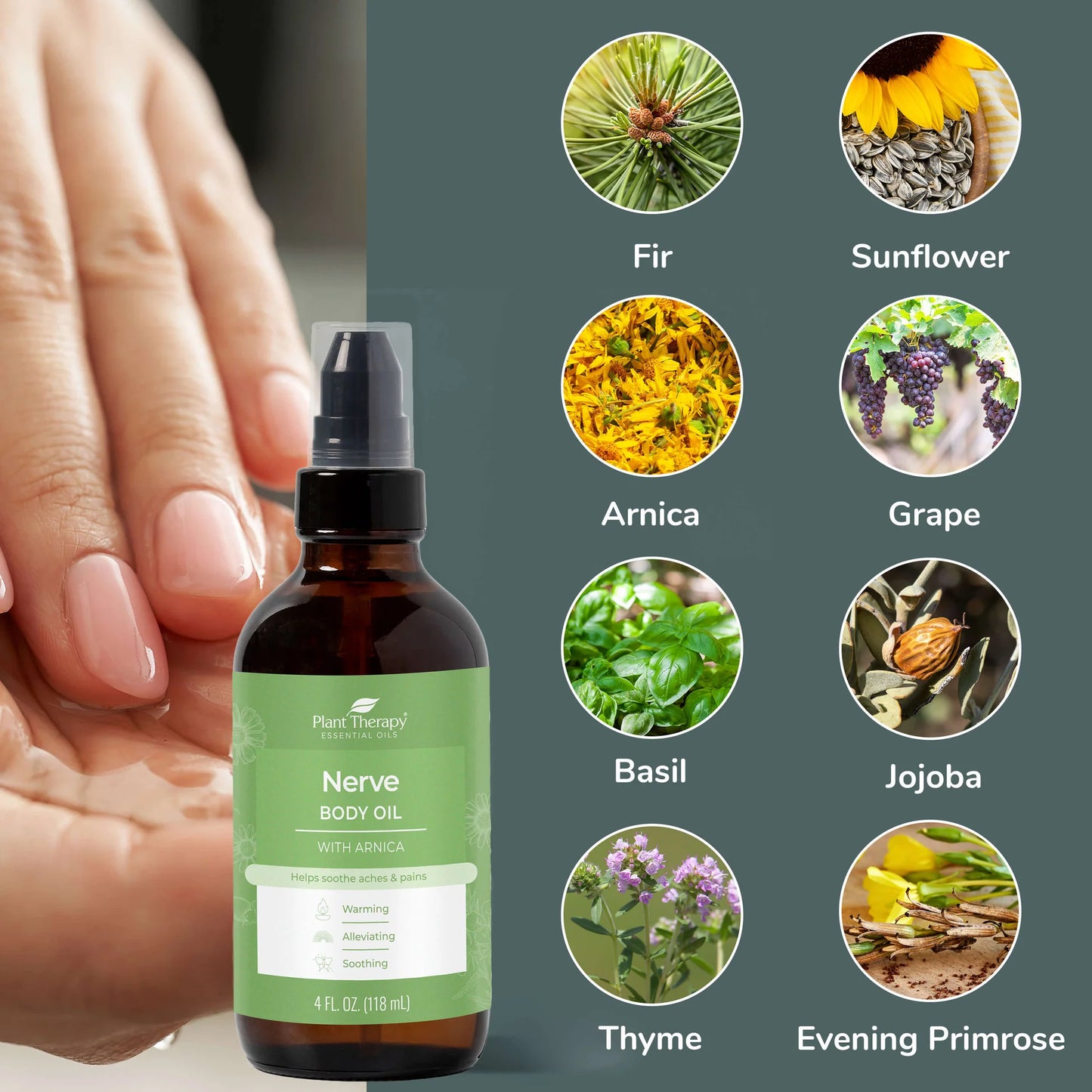 Body Oils | by Plant Therapy